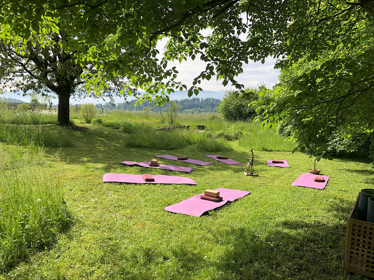 Lützelhuus Gartenyoga jeden Mittwoch ab 24-05-2023